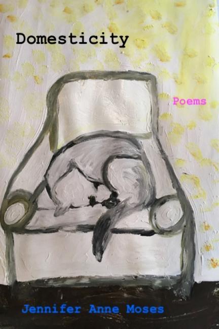 Buch Domesticity Jennifer Anne Moses
