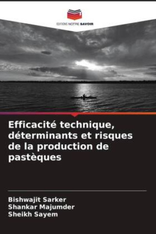 Książka Efficacité technique, déterminants et risques de la production de past?ques Shankar Majumder