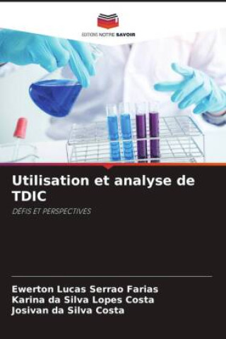 Knjiga Utilisation et analyse de TDIC Karina da Silva Lopes Costa