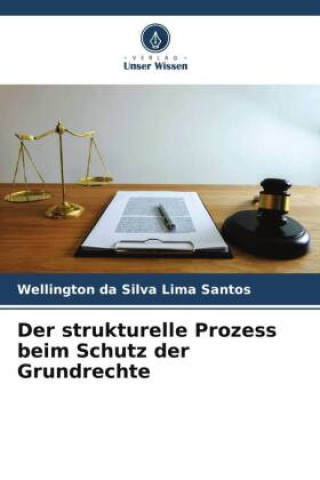Knjiga Der strukturelle Prozess beim Schutz der Grundrechte Wellington da Silva Lima Santos
