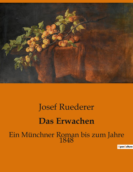 Knjiga Das Erwachen Ruederer