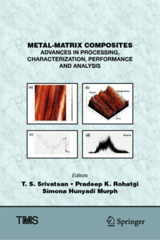 Könyv Metal-Matrix Composites T. S. Srivatsan