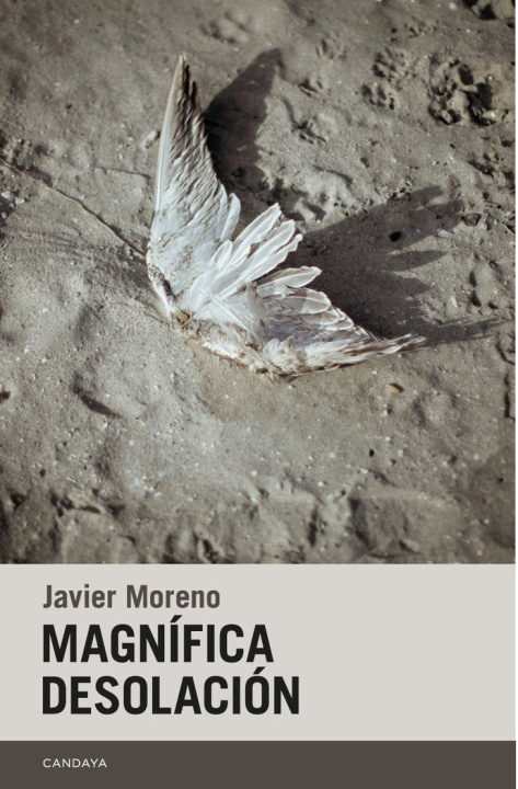 Knjiga MAGNIFICA DESOLACION MORENO