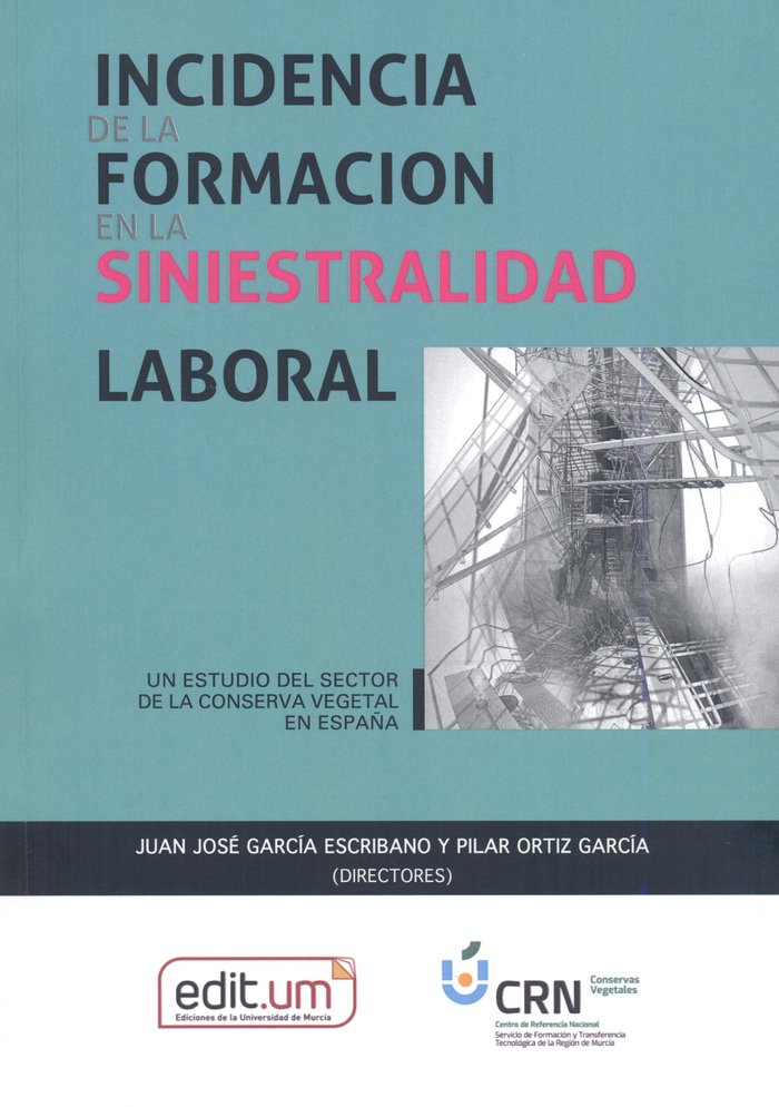 Kniha INCIDENCIA DE LA FORMACION EN LA SINIESTRALIDAD LABORAL GARCIA ESCRIBANO