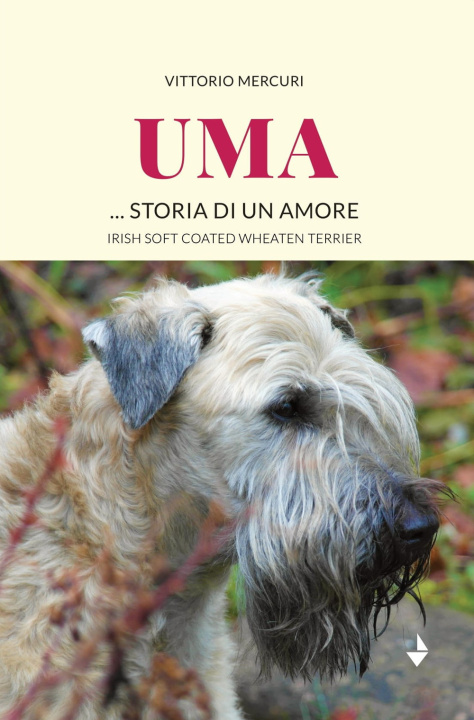 Книга Uma... storia di un amore. Irish Soft Coated Wheaten Terrier Vittorio Mercuri