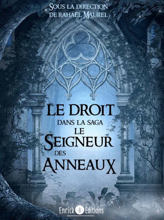 Kniha Le droit dans la saga le seigneur des anneaux Maurel