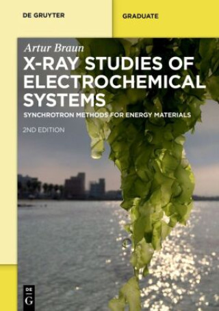 Book X-Ray Studies on Electrochemical Systems Artur Braun