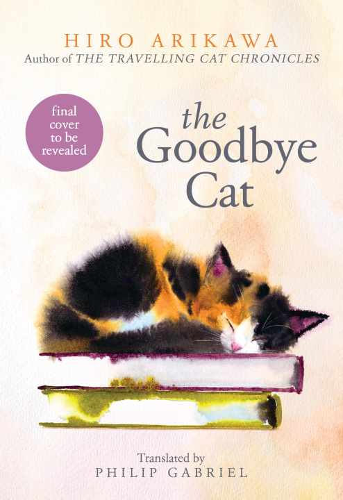 Kniha Goodbye Cat Hiro Arikawa