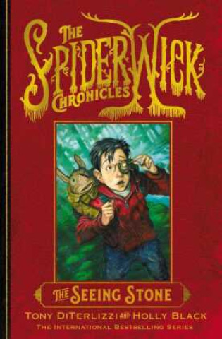 Book Seeing Stone Tony DiTerlizzi