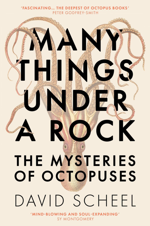 Knjiga Many Things Under a Rock David Scheel