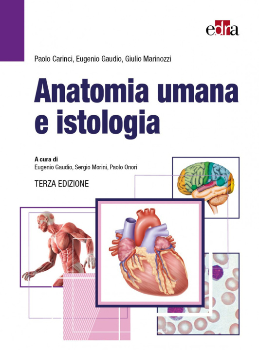 Book Anatomia umana e istologia Paolo Carinci