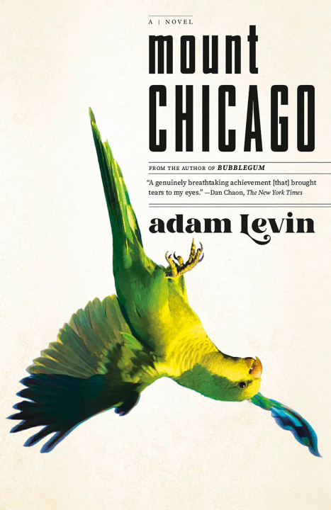 Knjiga Mount Chicago Levin