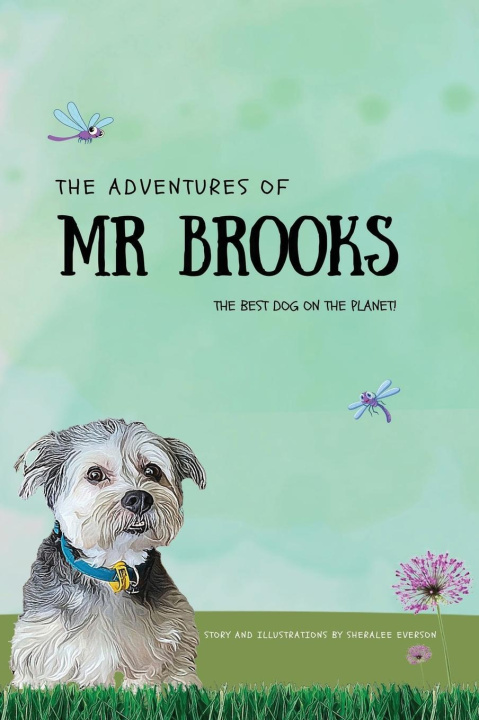 Kniha The Adventures of Mr Brooks 