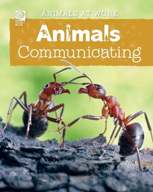 Knjiga Animals Communicating Alex Wolf