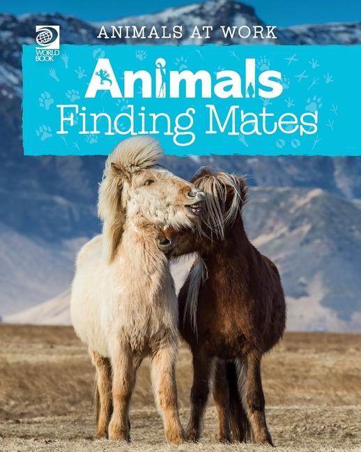 Książka Animals Finding Mates Alex Wolf