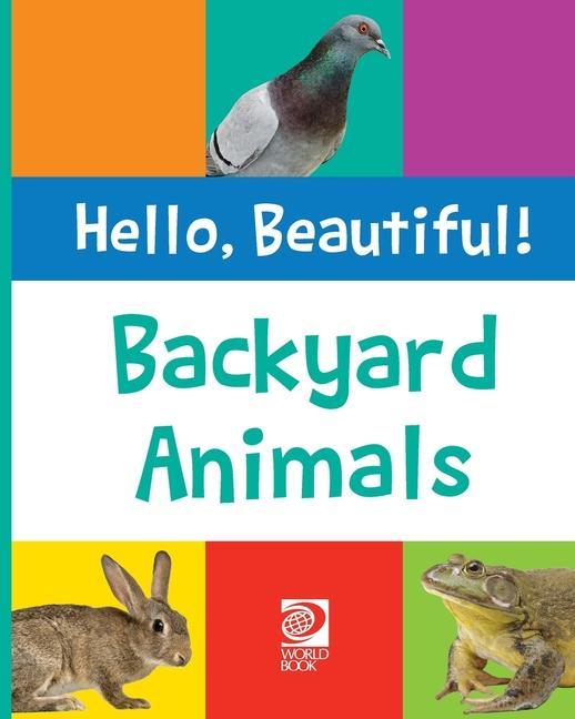 Buch Backyard Animals Grace Guibert
