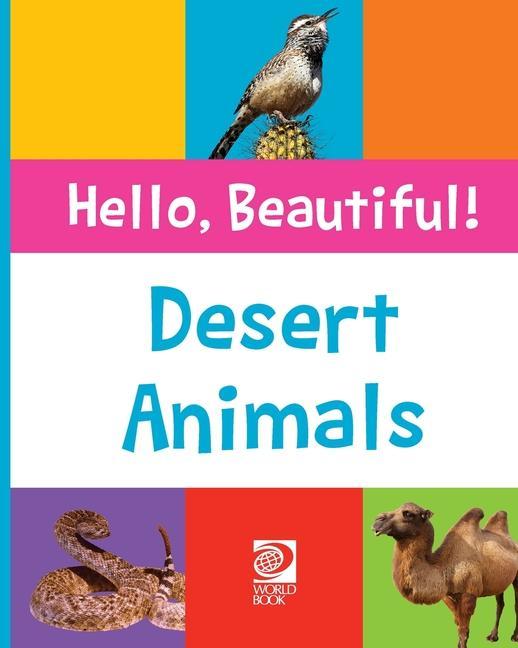 Buch Desert Animals Grace Guibert