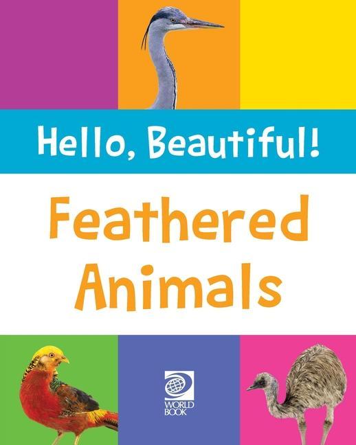 Buch Feathered Animals Grace Guibert