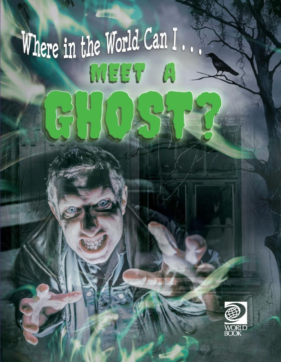 Buch Meet a Ghost? Grace Guibert