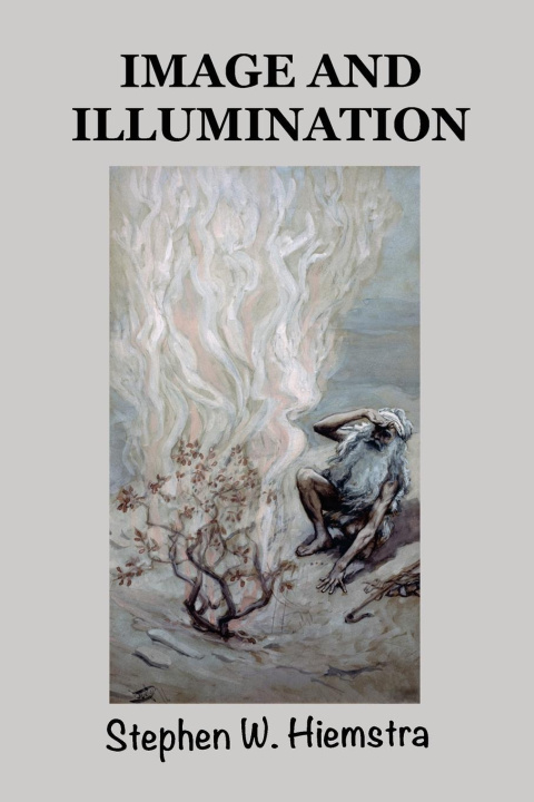 Knjiga Image and Illumination Stephen W. Hiemstra