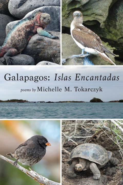 Carte Galapagos 