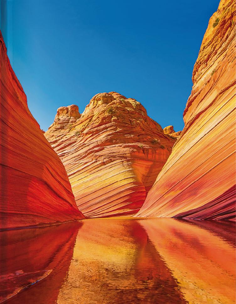 Kniha Wave Arizona 