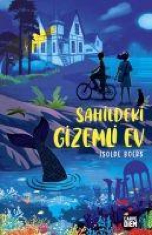Knjiga Sahildeki Gizemli Ev 