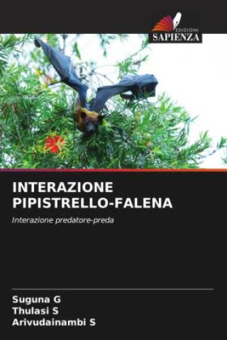 Carte INTERAZIONE PIPISTRELLO-FALENA Thulasi S