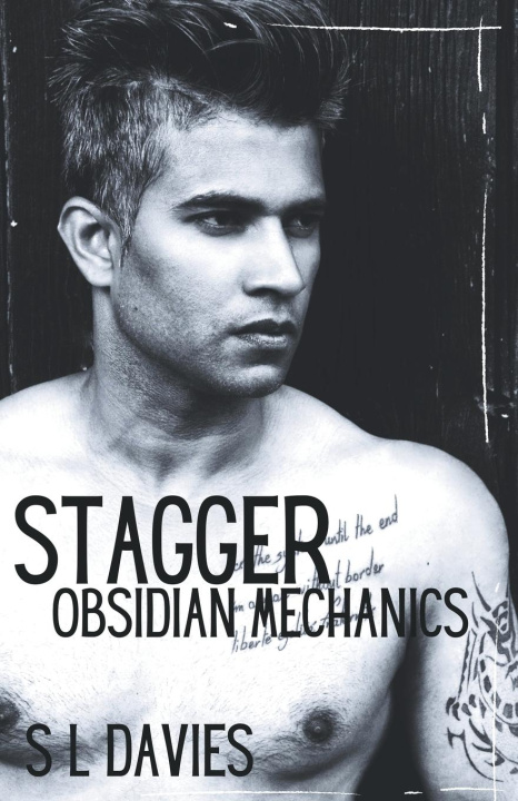 Knjiga Stagger S L Davies