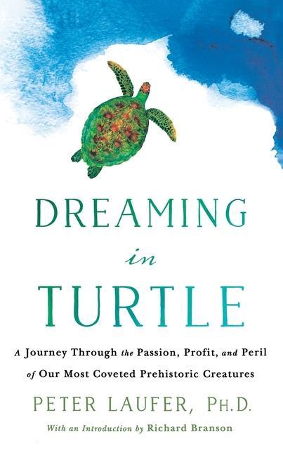 Knjiga Dreaming in Turtle 