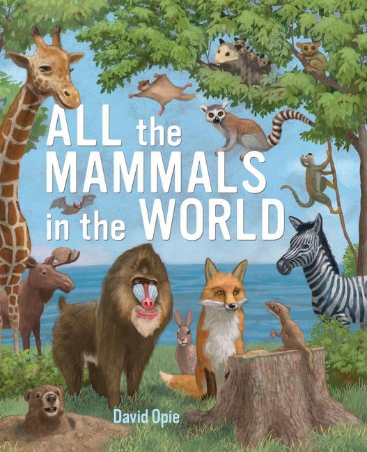 Könyv All the Mammals in the World 