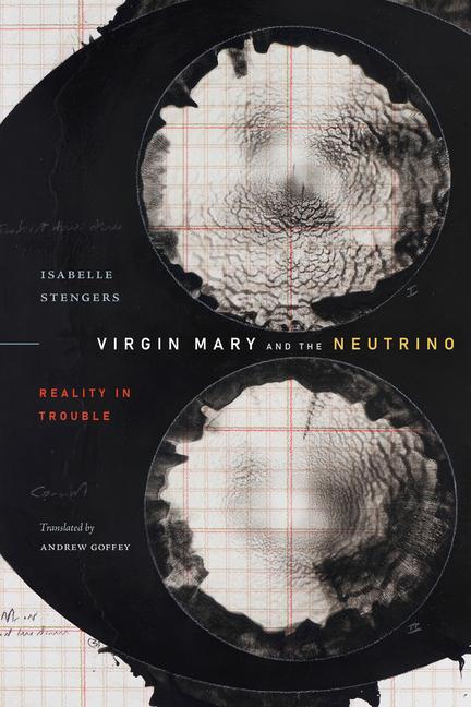 Kniha Virgin Mary and the Neutrino: Reality in Trouble Andrew Goffey