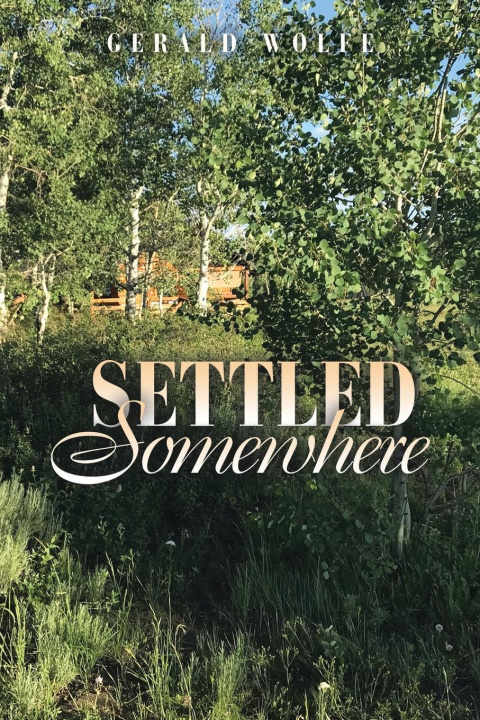 Knjiga Settled Somewhere Gerald Wolfe