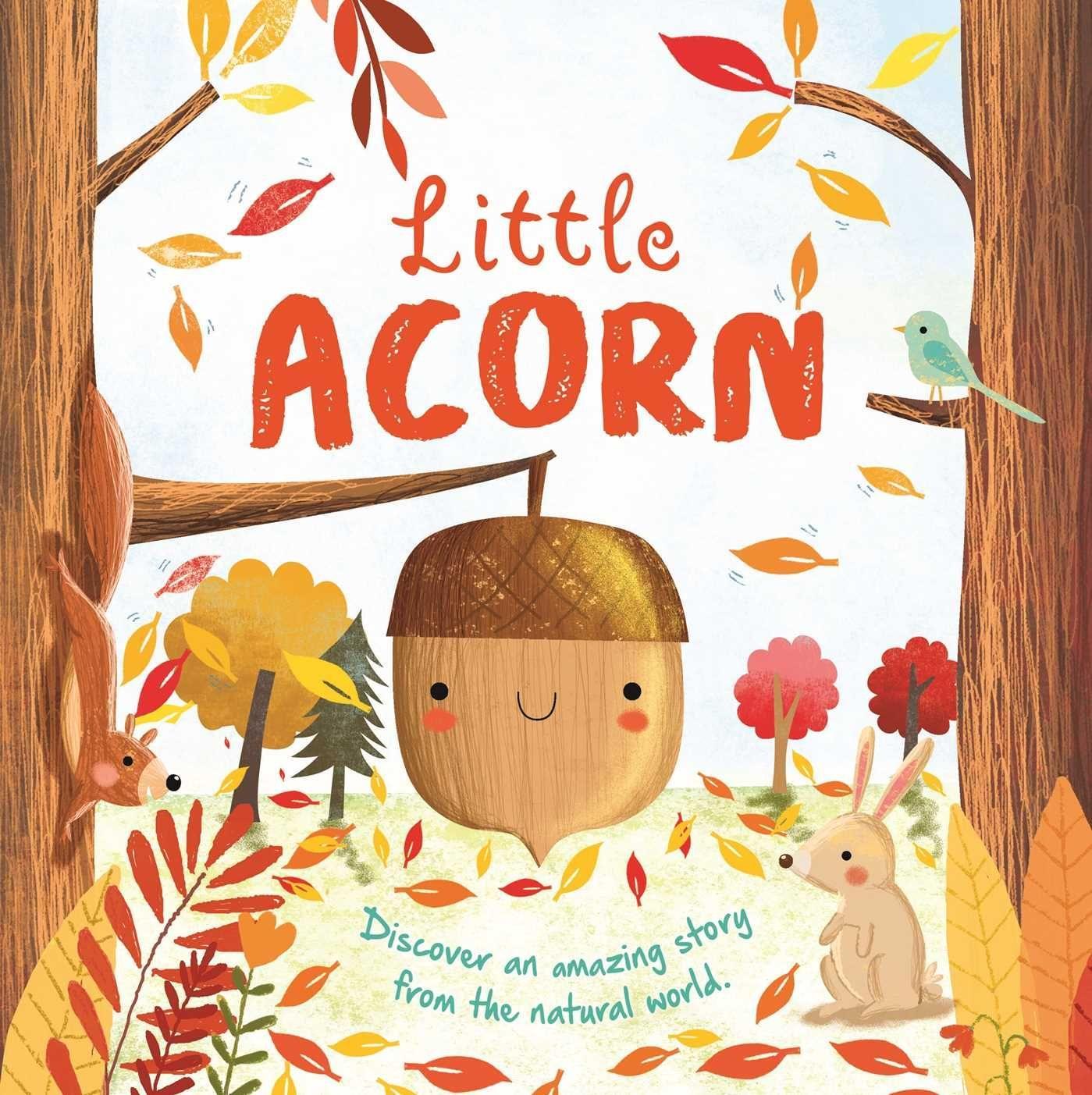 Carte Nature Stories: Little Acorn: Padded Board Book 