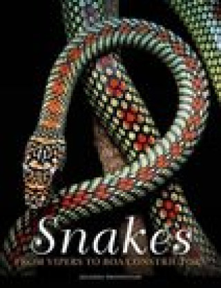 Книга Snakes: From Vipers to Boa Constrictors 
