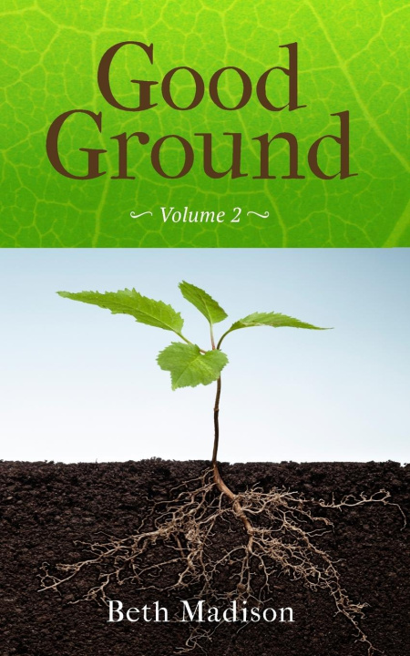 Buch Good Ground Beth Madison