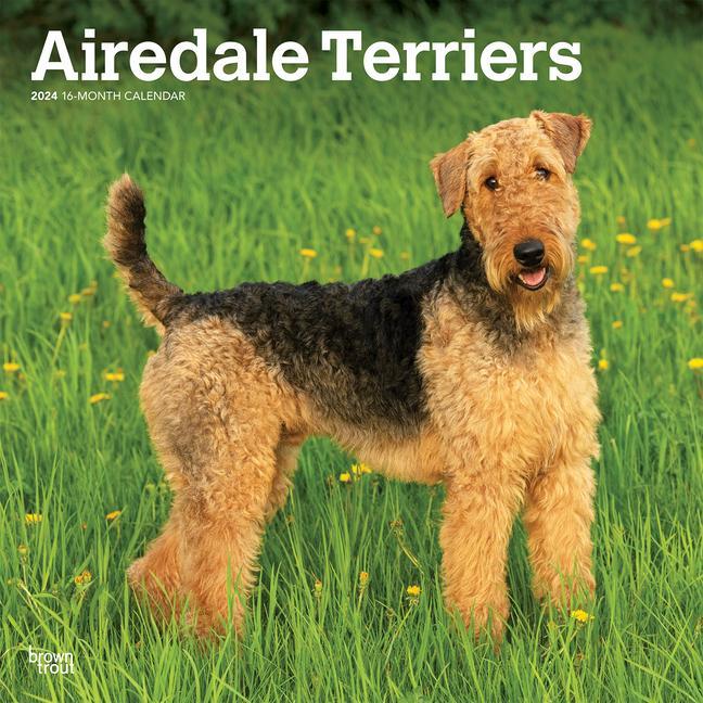Календар/тефтер Airedale Terriers 2024 Square 