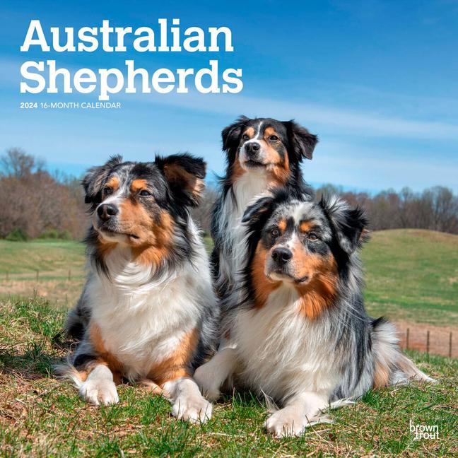 Calendar / Agendă Australian Shepherds 2024 Square 