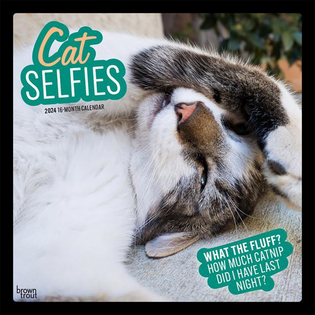 Kalendar/Rokovnik Cat Selfies 2024 Square 