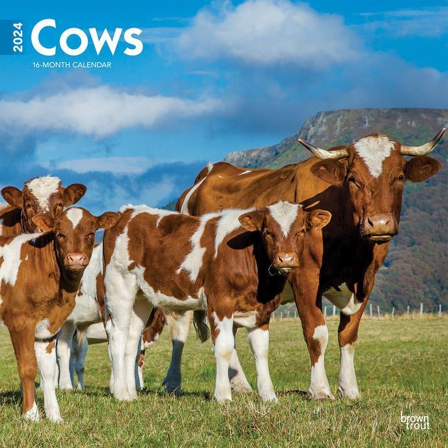 Calendar / Agendă Cows 2024 Square 