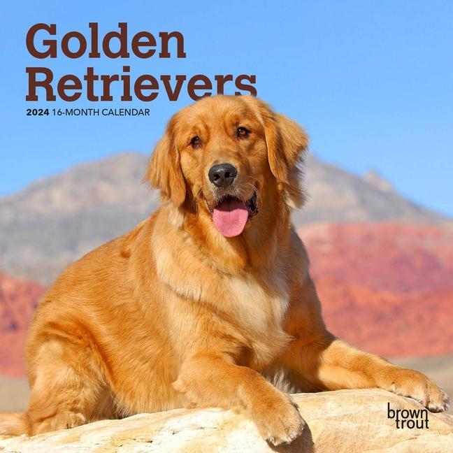 Könyv Golden Retrievers 2024 Mini 7x7 