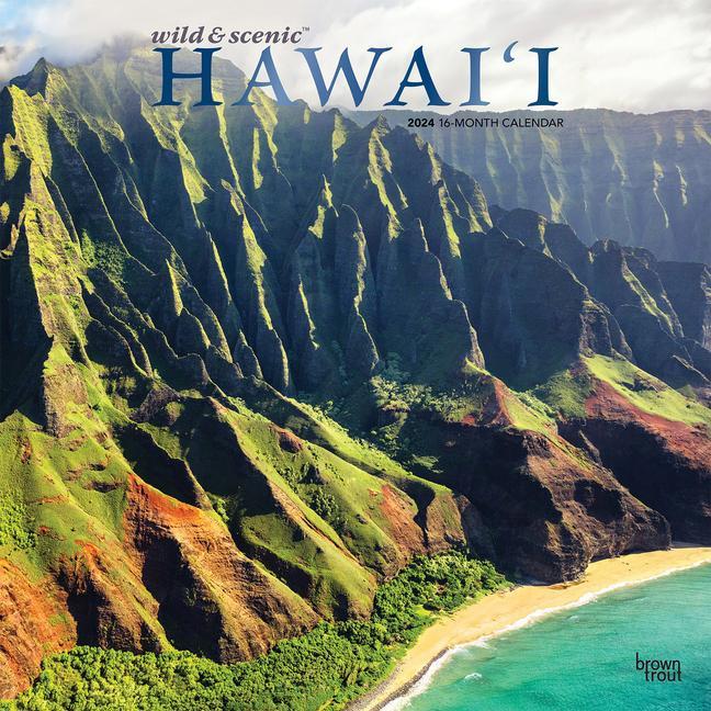 Календар/тефтер Hawaii Wild & Scenic 2024 Square Foil 