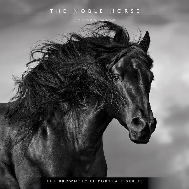 Kalendar/Rokovnik Horse, the Noble, the Browntrout Portrait Series 2024 Square 