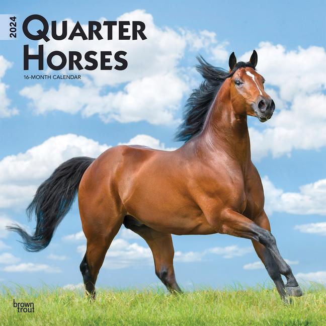 Kalendář/Diář Quarter Horses 2024 Square 