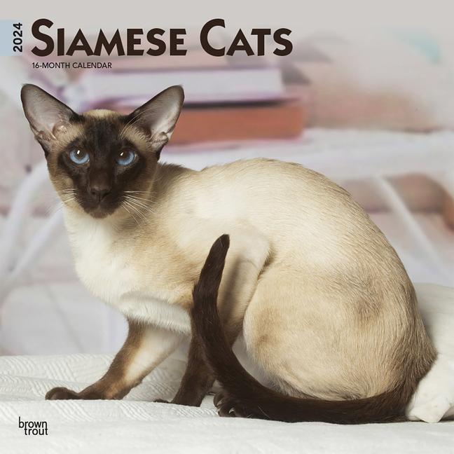 Calendar/Diary Siamese Cats 2024 Square 