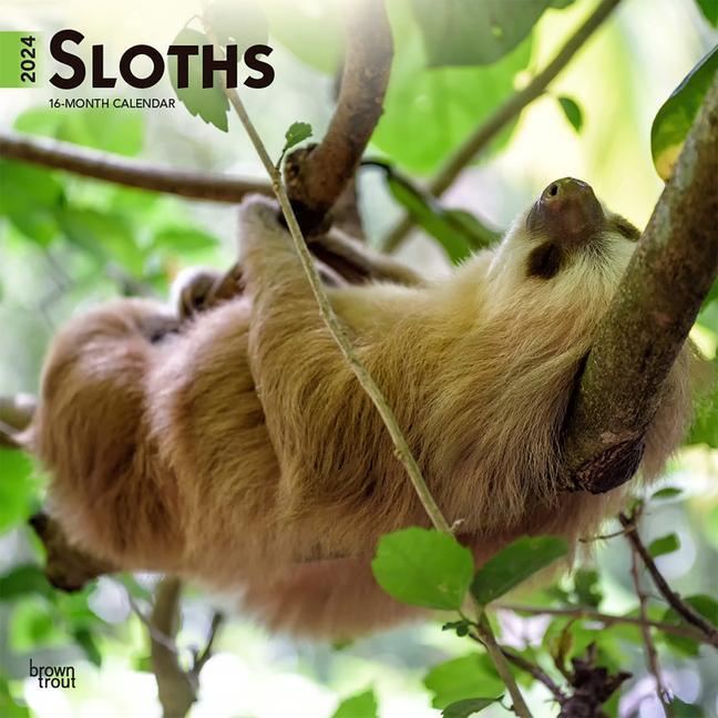 Календар/тефтер Sloths 2024 Square 