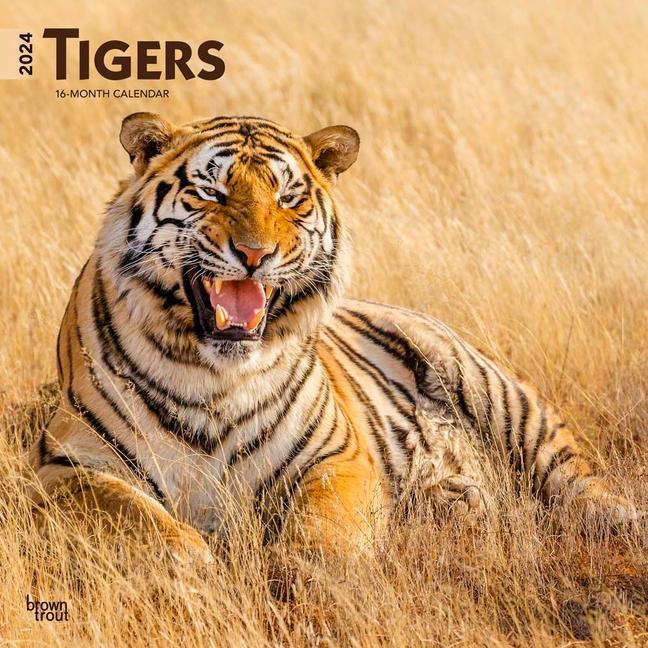 Календар/тефтер Tigers 2024 Square 