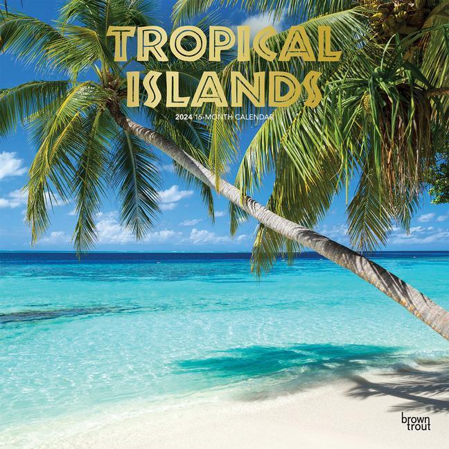 Naptár/Határidőnapló Tropical Islands 2024 Square Foil 