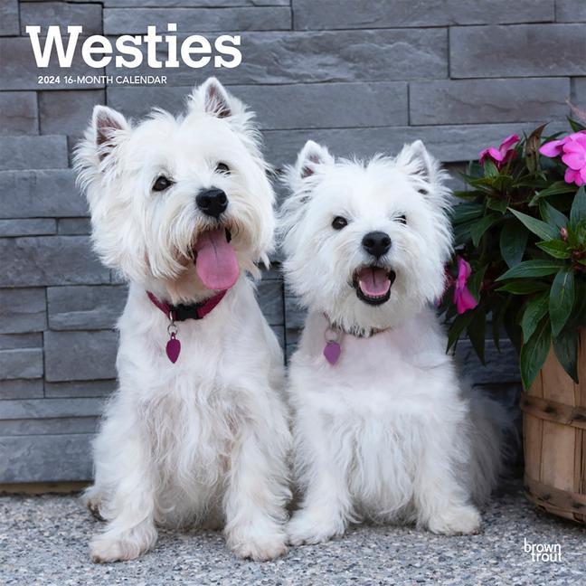 Kalendář/Diář West Highland White Terriers 2024 Square 