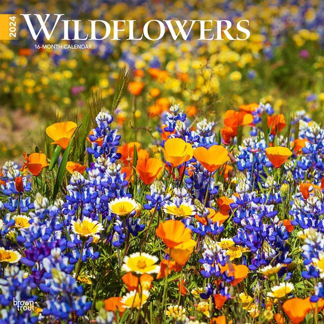 Calendar / Agendă Wildflowers 2024 Square 